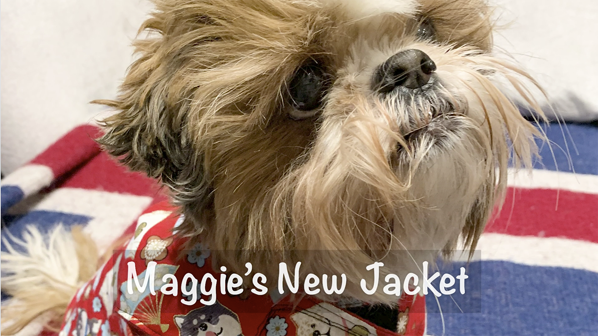 Projects - Andrew Walton - Sewing - Maggie's Jacket
